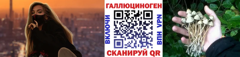 Галлюциногенные грибы Psilocybe  Киренск 